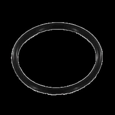 Intergas O-ring